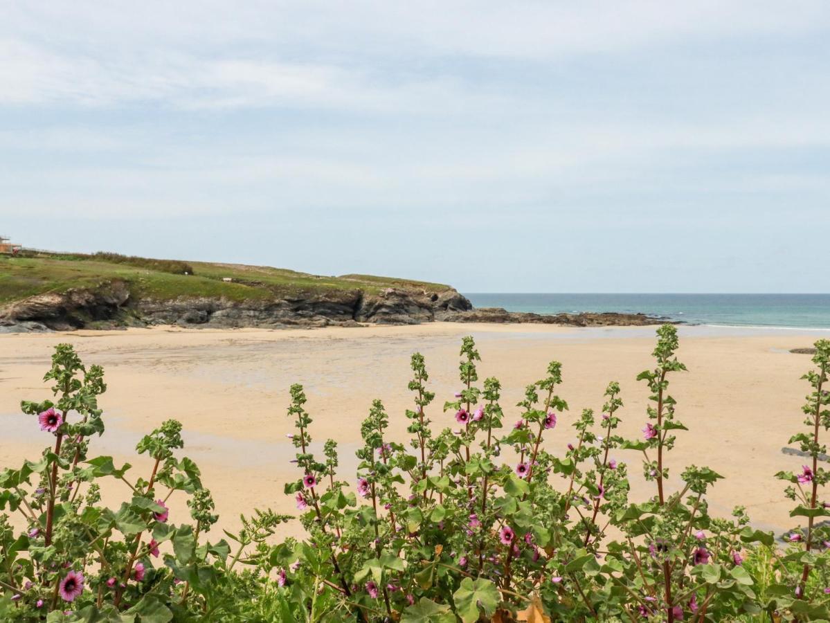 Constantine Bay Cottage بادستو المظهر الخارجي الصورة