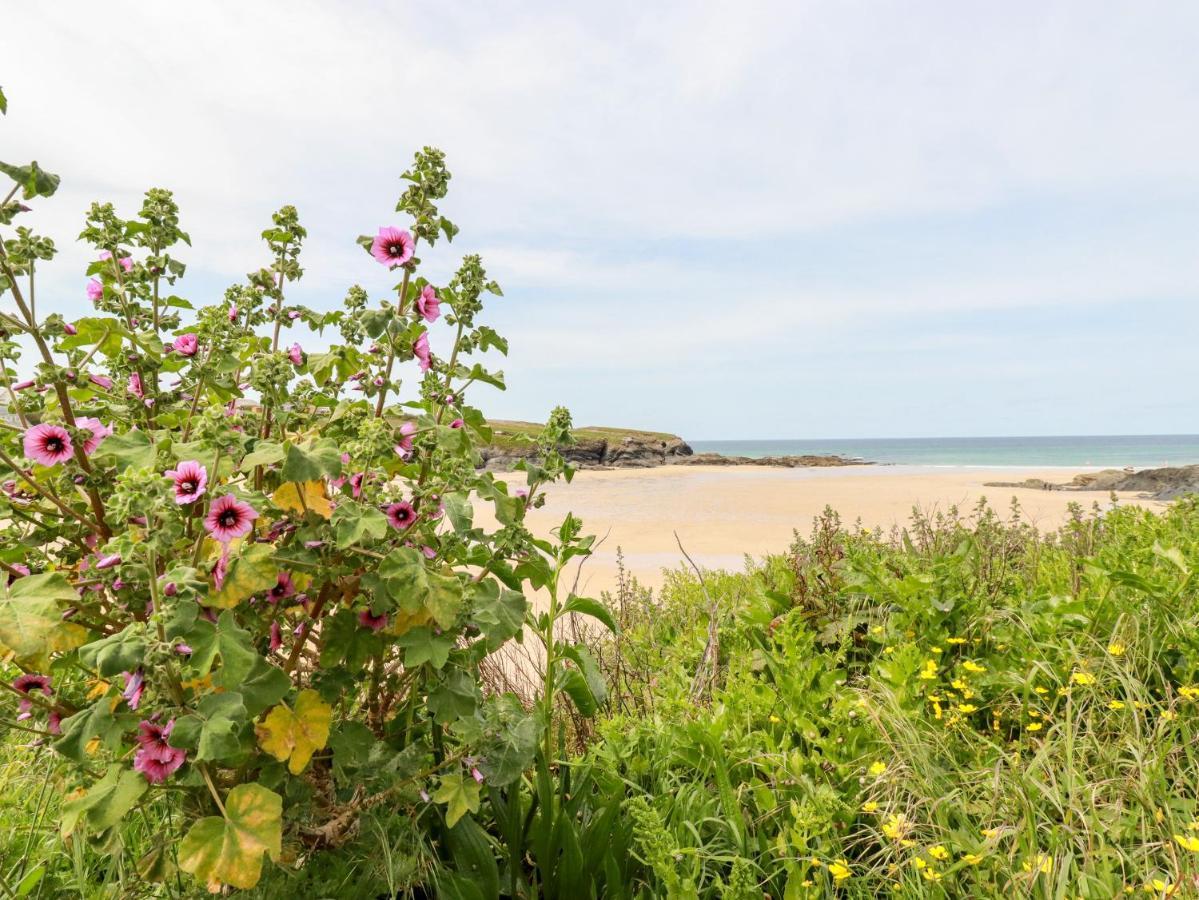 Constantine Bay Cottage بادستو المظهر الخارجي الصورة